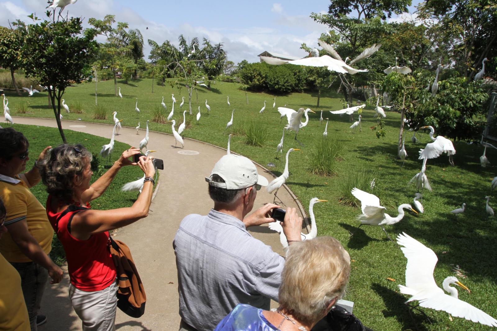 Cresce em 6,1% o fluxo do turismo internacional no Pará, em 2016 