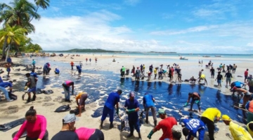 ABRAJET aplaude a iniciativa coletiva: todos pela qualidade das praias brasileiras 